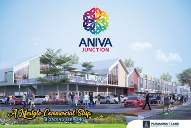 Aniva Junction Promo Launching 001