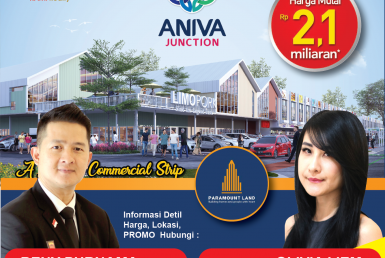 1 ANIVA JUNCTION RUKO-01