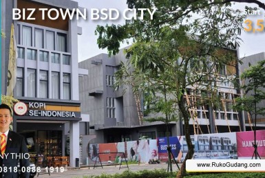 BIZ-TOWN-BSD1